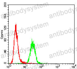 Anti-MYOD1 Antibody (R3D89)