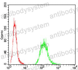 Anti-EZR Antibody (R3D93)