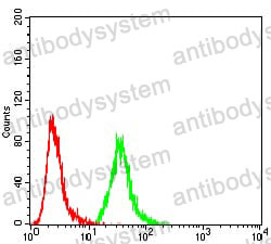 Anti-EZR Antibody (R3D94)