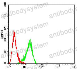 Anti-FOLR1 Antibody (R3D95)