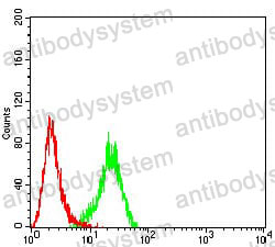 Anti-FOLR1 Antibody (R3D96)
