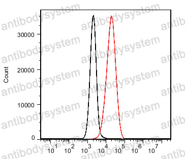 Anti-CD19 Antibody (R3E02)