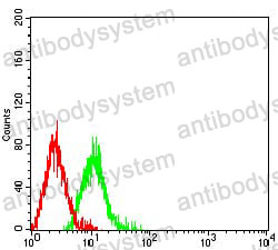 Anti-CD46 Antibody (R3E07)