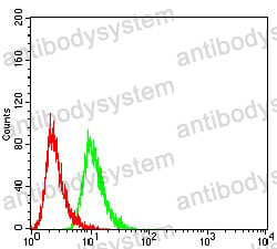 Anti-VEGFA Antibody (R3E12)