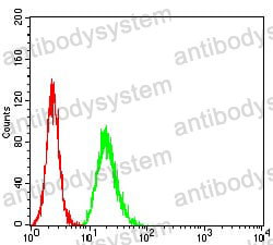 Anti-TCF4 Antibody (R3E16)