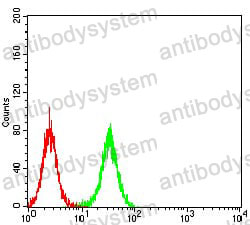 Anti-TCF4 Antibody (R3E15)