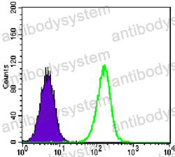 Anti-TCF3 Antibody (R3E17)