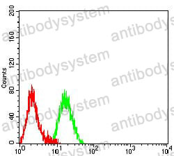 Anti-CD227/MUC1 Antibody (R3E19)