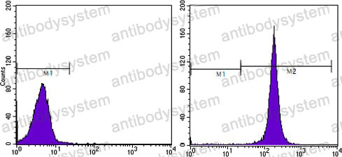Anti-CD44 Antibody (R3E22)