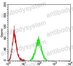 Anti-CD44 Antibody (R3E23)