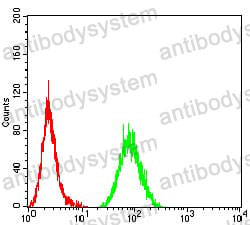 Anti-CD44 Antibody (R3E24)