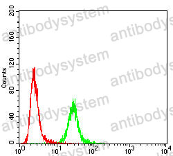 Anti-H2AX Antibody (R3E25)