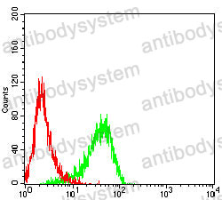 Anti-CD62P/SELP Antibody (R3E29)