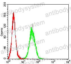 Anti-CD62P/SELP Antibody (R3E28)