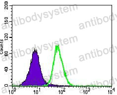 Anti-CD104/ITGB4 Antibody (R3E30)