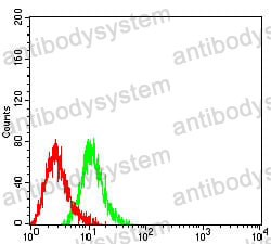 Anti-CD104/ITGB4 Antibody (R3E31)