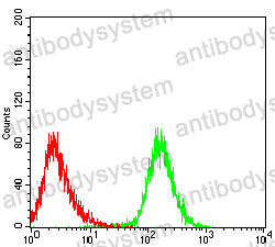 Anti-CD43/SPN/Leukosialin Antibody (R3E34)