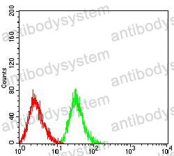 Anti-CD43/SPN/Leukosialin Antibody (R3E33)