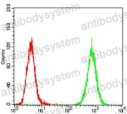 Anti-CD140a/PDGFRA Antibody (R3E38)