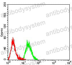 Anti-CD140a/PDGFRA Antibody (R3E40)