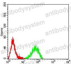 Anti-CD140a/PDGFRA Antibody (R3E41)