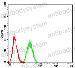 Anti-CD152/CTLA4 Antibody (R3E46)