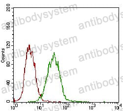 Anti-CD326/EPCAM Antibody (R3E48)