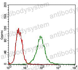 Anti-CD326/EPCAM Antibody (R3E49)