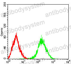 Anti-CD326/EPCAM Antibody (R3E51)