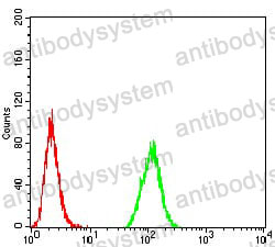 Anti-MGMT Antibody (R3E53)