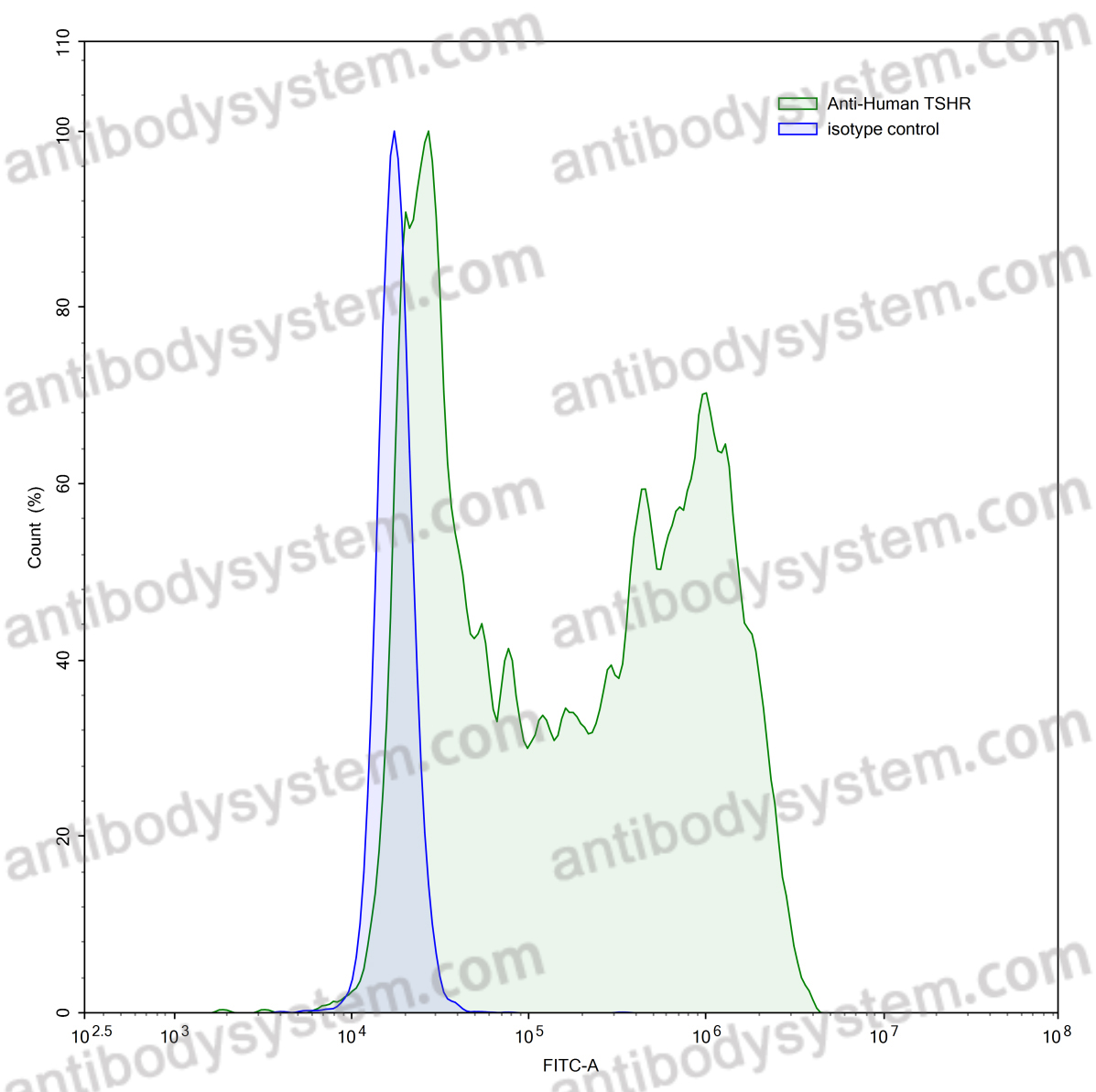 Anti-Human TSHR Antibody (SAA0401)