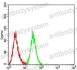 Anti-CD62E/SELE Antibody (R3E56)