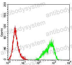 Anti-CD62E/SELE Antibody (R3E55)