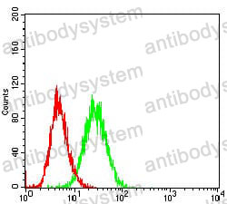 Anti-CD36 Antibody (R3E58)