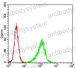 Anti-PLCG2 Antibody (R3E64)