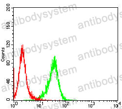 Anti-IFNAR1 Antibody (R3E67)