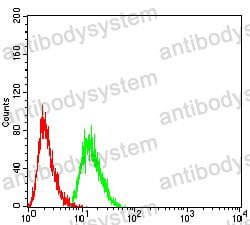 Anti-SYN1 Antibody (R3E71)
