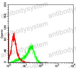 Anti-DES/Desmin Antibody (R3E72)