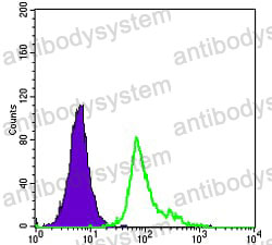 Anti-CD105/ENG Antibody (R3E80)