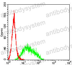 Anti-CD105/ENG Antibody (R3E82)