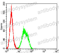 Anti-CD35/CR1 Antibody (R3E84)