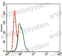 Anti-SPI1 Antibody (R3E90)