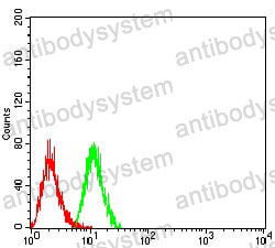Anti-PSMC3 Antibody (R3E93)