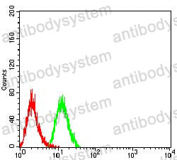 Anti-PSMC3 Antibody (R3E92)