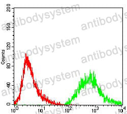 Anti-PTPN1 Antibody (R3E95)