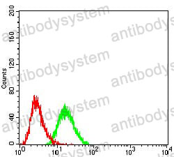 Anti-BMP7 Antibody (R3E97)