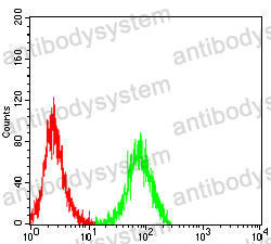 Anti-ITGB5 Antibody (R3E99)