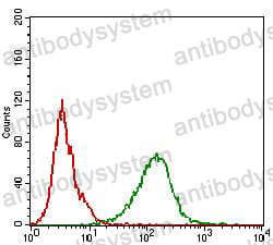 Anti-CD138/SDC1 Antibody (R3F03)