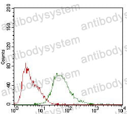 Anti-CD138/SDC1 Antibody (R3F02)