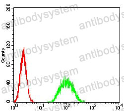 Anti-ATF3 Antibody (R3F05)